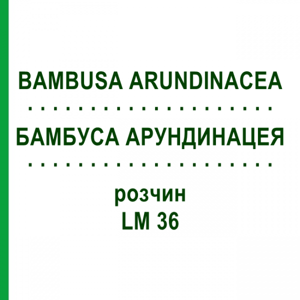 БАМБУСА АРУНДИНАЦЕЯ (BAMBUSA ARUNDINACEA) LM 36 розчин 10 мл - Гомеопатія ARCANA DR.SEWERIN