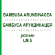 БАМБУСА АРУНДИНАЦЕЯ (BAMBUSA ARUNDINACEA) LM 5 розчин 10 мл - Гомеопатія ARCANA DR.SEWERIN