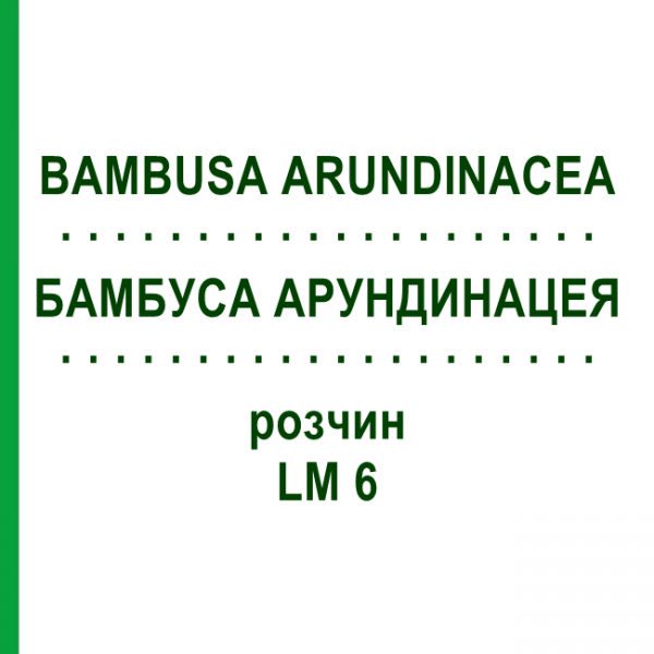 БАМБУСА АРУНДИНАЦЕЯ (BAMBUSA ARUNDINACEA) LM 6 розчин 10 мл - Гомеопатія ARCANA DR.SEWERIN