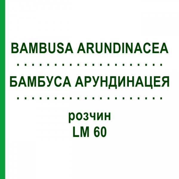 БАМБУСА АРУНДИНАЦЕЯ (BAMBUSA ARUNDINACEA) LM 60 розчин 10 мл - Гомеопатія ARCANA DR.SEWERIN