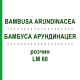 БАМБУСА АРУНДИНАЦЕЯ (BAMBUSA ARUNDINACEA) LM 60 розчин 10 мл - Гомеопатія ARCANA DR.SEWERIN