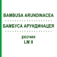 БАМБУСА АРУНДИНАЦЕЯ (BAMBUSA ARUNDINACEA) LM 8 розчин 10 мл - Гомеопатія ARCANA DR.SEWERIN