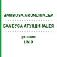 БАМБУСА АРУНДИНАЦЕЯ (BAMBUSA ARUNDINACEA) LM 9 розчин 10 мл - Гомеопатія ARCANA DR.SEWERIN