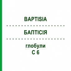 БАПТІСІЯ (BAPTISIA) C 6 глобули 10 г - Гомеопатія DHU
