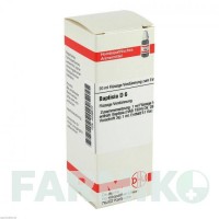 БАПТІСІЯ (BAPTISIA) D 6 розчин 20 мл - Гомеопатія DHU
