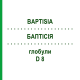 БАПТІСІЯ (BAPTISIA) D 8 глобули 10 г - Гомеопатія DHU