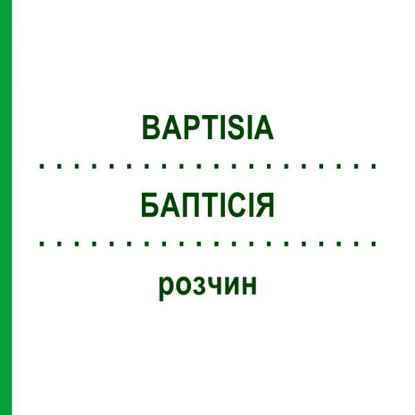 БАПТІСІЯ (BAPTISIA) розчин 20 мл - Гомеопатія DHU
