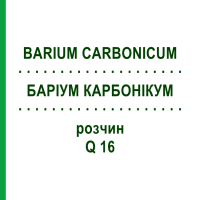 БАРИУМ КАРБОНИКУМ (BARIUM CARBONICUM) Q 16 раствор 15 мл - Гомеопатия GUDJONS