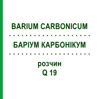 БАРІУМ КАРБОНІКУМ (BARIUM CARBONICUM) Q 19 розчин 15 мл - Гомеопатія GUDJONS