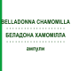БЕЛЛАДОННА ХАМОМИЛЛА (BELLADONNA CHAMOMILLA) ампулы 50x1 мл - Гомеопатия WALA HEILMITTEL
