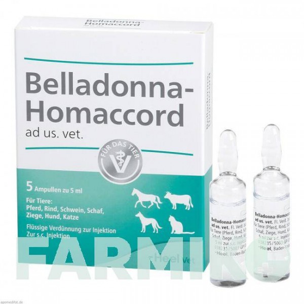 БЕЛЛАДОННА ХОМАККОРД (BELLADONNA HOMACCORD) ампулы 5 шт - Гомеопатия BIOLOGISCHE HEILMITTEL HEEL