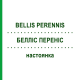 БЕЛЛИС ПЕРЕННИС (BELLIS PERENNIS) настойка 20 мл - Гомеопатия DHU