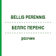 БЕЛЛИС ПЕРЕННИС (BELLIS PERENNIS) раствор 50 мл - Гомеопатия DHU