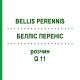 БЕЛЛІС ПЕРЕНІС (BELLIS PERENNIS) Q 11 розчин 15 мл - Гомеопатія GUDJONS