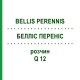 БЕЛЛІС ПЕРЕНІС (BELLIS PERENNIS) Q 12 розчин 15 мл - Гомеопатія GUDJONS