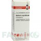 БЕРБЕРИС АКВИФОЛИУМ (BERBERIS AQUIFOLIUM) D 4 глобули 10 г - Гомеопатия DHU