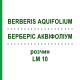 БЕРБЕРІС АКВІФОЛІУМ (BERBERIS AQUIFOLIUM) LM 10 розчин 10 мл - Гомеопатія ARCANA DR.SEWERIN