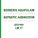 БЕРБЕРІС АКВІФОЛІУМ (BERBERIS AQUIFOLIUM) LM 17 розчин 10 мл - Гомеопатія ARCANA DR.SEWERIN