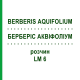 БЕРБЕРІС АКВІФОЛІУМ (BERBERIS AQUIFOLIUM) LM 6 розчин 10 мл - Гомеопатія ARCANA DR.SEWERIN