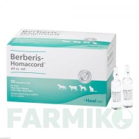БЕРБЕРИС ХОМАККОРД (BERBERIS HOMACCORD) ампулы 50x5 мл - Гомеопатия BIOLOGISCHE HEILMITTEL HEEL