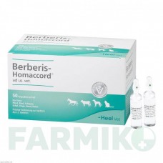 БЕРБЕРИС ХОМАККОРД (BERBERIS HOMACCORD) ампулы 50x5 мл - Гомеопатия BIOLOGISCHE HEILMITTEL HEEL