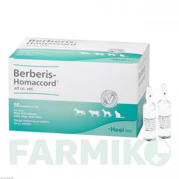 БЕРБЕРИС ХОМАККОРД (BERBERIS HOMACCORD) ампулы 50x5 мл - Гомеопатия BIOLOGISCHE HEILMITTEL HEEL