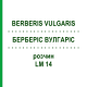 БЕРБЕРІС ВУЛГАРІС (BERBERIS VULGARIS) LM 14 розчин 10 мл - Гомеопатія ARCANA DR.SEWERIN
