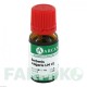 БЕРБЕРІС ВУЛГАРІС (BERBERIS VULGARIS) LM 6 розчин 10 мл - Гомеопатія ARCANA DR.SEWERIN