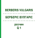 БЕРБЕРІС ВУЛГАРІС (BERBERIS VULGARIS) Q 1 розчин 15 мл - Гомеопатія GUDJONS