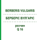 БЕРБЕРІС ВУЛГАРІС (BERBERIS VULGARIS) Q 16 розчин 15 мл - Гомеопатія GUDJONS