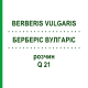 БЕРБЕРІС ВУЛГАРІС (BERBERIS VULGARIS) Q 21 розчин 15 мл - Гомеопатія GUDJONS