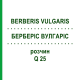 БЕРБЕРІС ВУЛГАРІС (BERBERIS VULGARIS) Q 25 розчин 15 мл - Гомеопатія GUDJONS