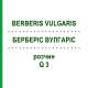 БЕРБЕРІС ВУЛГАРІС (BERBERIS VULGARIS) Q 3 розчин 15 мл - Гомеопатія GUDJONS