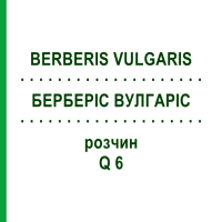 БЕРБЕРИС ВУЛГАРИС (BERBERIS VULGARIS) Q 6 раствор 15 мл - Гомеопатия GUDJONS