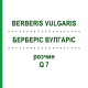 БЕРБЕРІС ВУЛГАРІС (BERBERIS VULGARIS) Q 7 розчин 15 мл - Гомеопатія GUDJONS