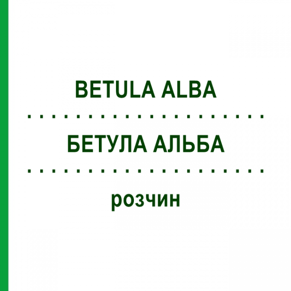 БЕТУЛА АЛЬБА (BETULA ALBA) раствор 50 мл - Гомеопатия DHU