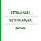 БЕТУЛА АЛЬБА (BETULA ALBA) раствор 50 мл - Гомеопатия DHU