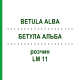 БЕТУЛА АЛЬБА (BETULA ALBA) LM 11 розчин 10 мл - Гомеопатія ARCANA DR.SEWERIN