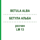 БЕТУЛА АЛЬБА (BETULA ALBA) LM 13 розчин 10 мл - Гомеопатія ARCANA DR.SEWERIN
