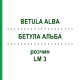 БЕТУЛА АЛЬБА (BETULA ALBA) LM 3 розчин 10 мл - Гомеопатія ARCANA DR.SEWERIN