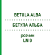 БЕТУЛА АЛЬБА (BETULA ALBA) LM 9 розчин 10 мл - Гомеопатія ARCANA DR.SEWERIN