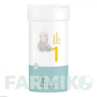 БИОХЕМИ (BIOCHEMIE) D 12 порошок 100 г - Гомеопатия HOMOOPATHISCHES ALEXANDER PFLUGER
