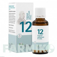 БИОХЕМИ (BIOCHEMIE) D 6 таблетки 100 шт - Гомеопатия HOMOOPATHISCHES ALEXANDER PFLUGER
