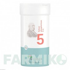 БИОХЕМИ (BIOCHEMIE) D 6 порошок 100 г - Гомеопатия HOMOOPATHISCHES ALEXANDER PFLUGER