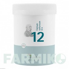 БИОХЕМИ (BIOCHEMIE) D 6 порошок 250 г - Гомеопатия HOMOOPATHISCHES ALEXANDER PFLUGER
