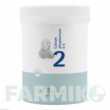 БИОХЕМИ (BIOCHEMIE) D 6 порошок 250 г - Гомеопатия HOMOOPATHISCHES ALEXANDER PFLUGER