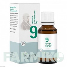 БИОХЕМИ (BIOCHEMIE) D 6 таблетки 100 шт - Гомеопатия HOMOOPATHISCHES ALEXANDER PFLUGER