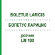 БОЛЕТУС ЛАРИЦИС (BOLETUS LARICIS) LM 100 розчин 10 мл - Гомеопатія ARCANA DR.SEWERIN