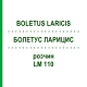 БОЛЕТУС ЛАРИЦИС (BOLETUS LARICIS) LM 110 розчин 10 мл - Гомеопатія ARCANA DR.SEWERIN