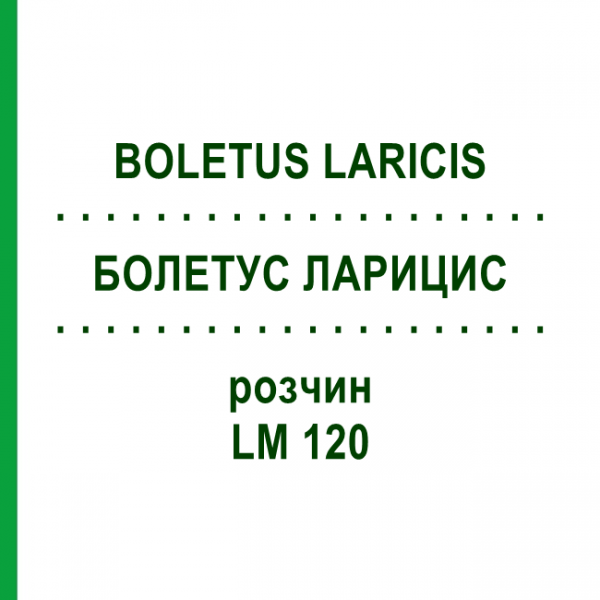 БОЛЕТУС ЛАРИЦИС (BOLETUS LARICIS) LM 120 раствор 10 мл - Гомеопатия ARCANA DR.SEWERIN